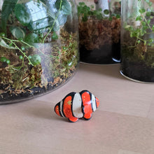 Load image into Gallery viewer, FISH - CLOWN, SMALL 4