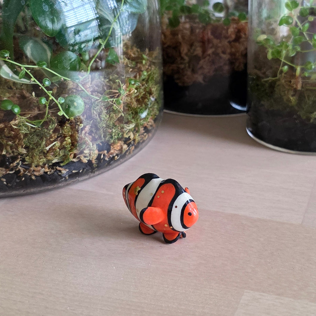 FISH - CLOWN, SMALL 4