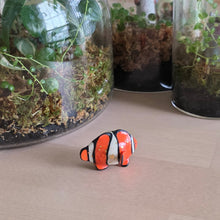 Load image into Gallery viewer, FISH - CLOWN, SMALL 5