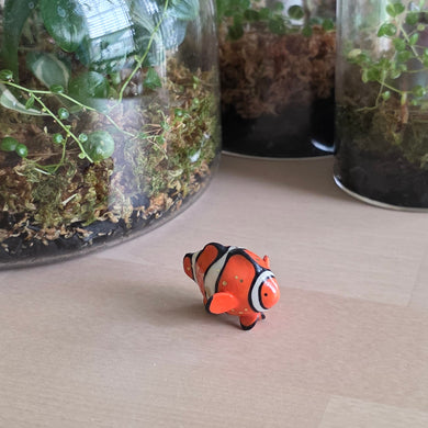 FISH - CLOWN, SMALL 5