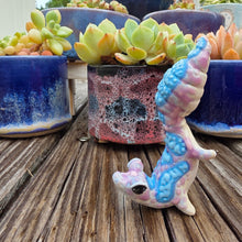 Load image into Gallery viewer, GECKO - GRAPE, HANDSTAND