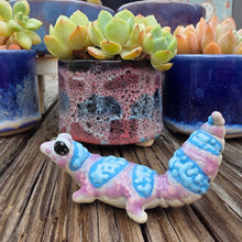 Load image into Gallery viewer, GECKO - GRAPE, BELLY