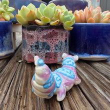 Load image into Gallery viewer, GECKO - GRAPE, BELLY