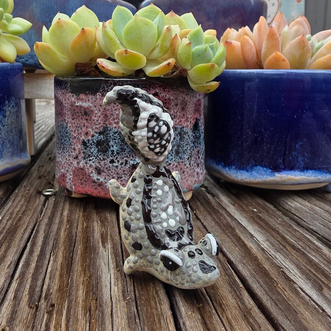 GECKO - OREO, HANDSTAND