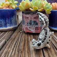 Load image into Gallery viewer, GECKO - OREO, HANDSTAND