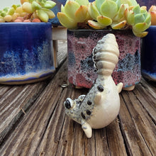 Load image into Gallery viewer, GECKO - OREO, HANDSTAND