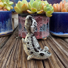 Load image into Gallery viewer, GECKO - OREO, HANDSTAND