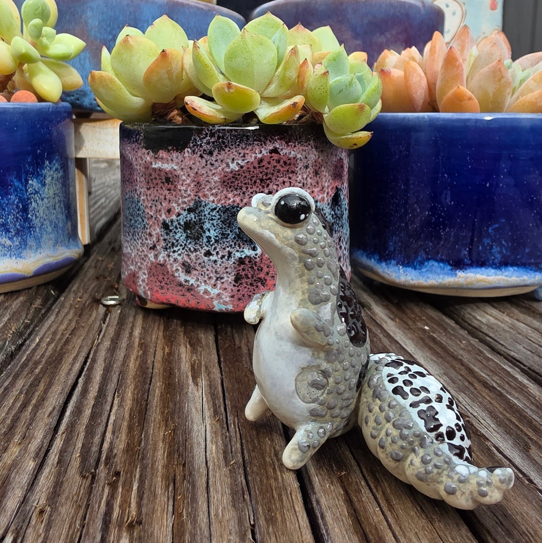 GECKO - OREO, STANDING