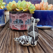 Load image into Gallery viewer, GECKO - OREO, STANDING