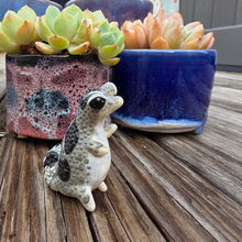 Load image into Gallery viewer, GECKO - OREO, STANDING