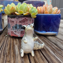 Load image into Gallery viewer, GECKO - OREO, STANDING