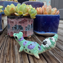 Load image into Gallery viewer, GECKO - JADE, ON BELLY