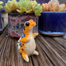 Load image into Gallery viewer, GECKO - APRICOT, STANDING