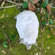 Load image into Gallery viewer, SHEEP 1