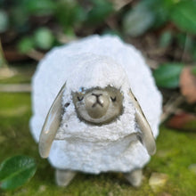 Load image into Gallery viewer, SHEEP 3