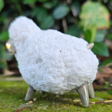 Load image into Gallery viewer, SHEEP 4