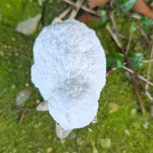 Load image into Gallery viewer, SHEEP 4