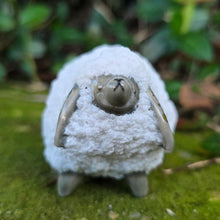 Load image into Gallery viewer, SHEEP 5