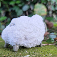 Load image into Gallery viewer, SHEEP 5