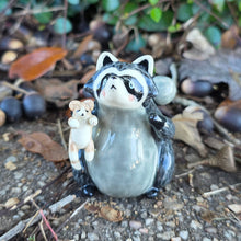 Load image into Gallery viewer, RACCOON + KITTEN