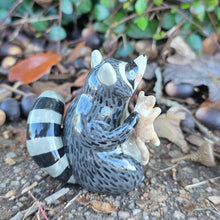 Load image into Gallery viewer, RACCOON + KITTEN