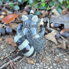 Load image into Gallery viewer, RACCOON + KITTEN