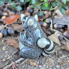 Load image into Gallery viewer, RACCOON + KITTEN