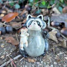 Load image into Gallery viewer, RACCOON + KITTEN
