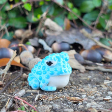Load image into Gallery viewer, TOAD - BUMPY BLUE