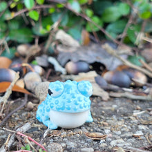 Load image into Gallery viewer, TOAD - BUMPY BLUE