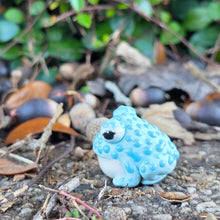 Load image into Gallery viewer, TOAD - BUMPY BLUE