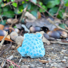 Load image into Gallery viewer, TOAD - BUMPY BLUE