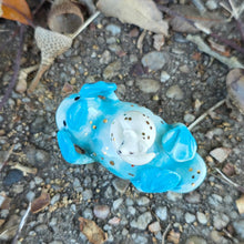 Load image into Gallery viewer, PLATYPUS + FOX