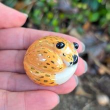 Load image into Gallery viewer, FOX CAB 2