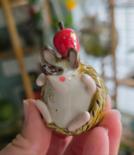 Load image into Gallery viewer, HEDGEHOG B