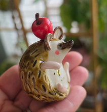 Load image into Gallery viewer, HEDGEHOG B