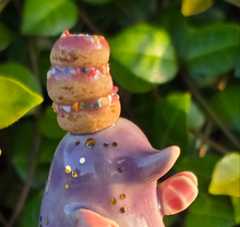 Load image into Gallery viewer, MOLE + DONUTS ON MUSHROOM