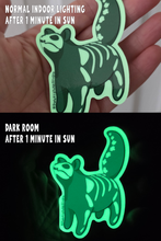 Load image into Gallery viewer, STICKER - GLOW-IN-THE-DARK SKELLY CAT