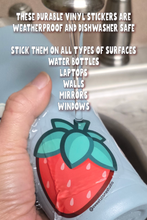 Load image into Gallery viewer, MAGNET - COUNTRY TOAD