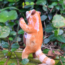 Load image into Gallery viewer, RED PANDA + DRAGONFLY