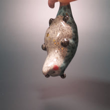 Load image into Gallery viewer, POSSUM * AQUASCAPE