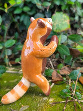 Load image into Gallery viewer, RED PANDA